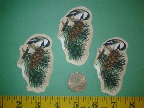 Maine State Bird And Flower Iron Ons Fabric Appliques Iron Ons