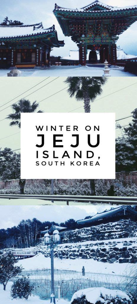 The Jeju Island Winter That Shut Down The Hawaii Of Korea