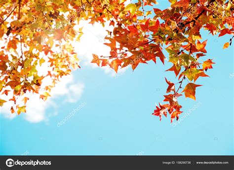 Fall To Autumn Leaves And Sky Background In Fall — Stock Photo