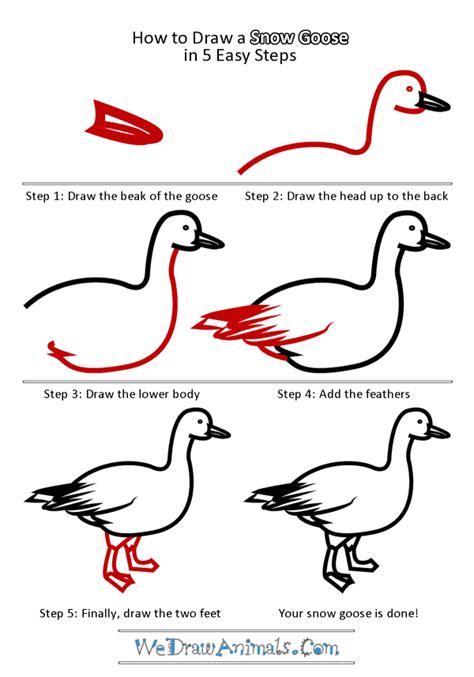 How To Draw A Snow Goose