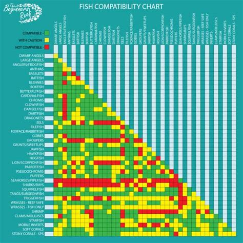 Fish Compatibility Chart The Beginners Reef