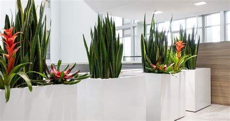 Why Is Biophilic Design Important 3 Reasons Newpro Blog