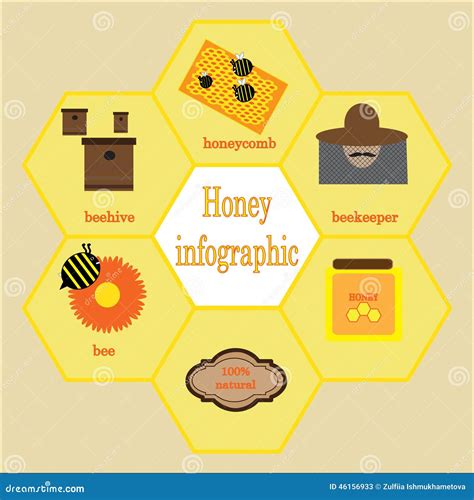 Honey And Bee Infographic Stock Vector Illustration Of Icon 46156933