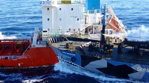 Japan Blames Whaling Foes For Record Low Catch