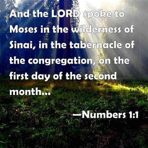 Numbers 11 And The Lord Spoke To Moses In The Wilderness Of Sinai In