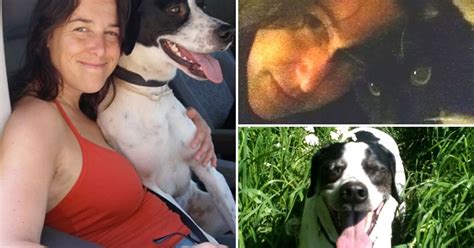 Woman To Marry Her Pet Dog After Husband Of 16 Years Her Cat Dies