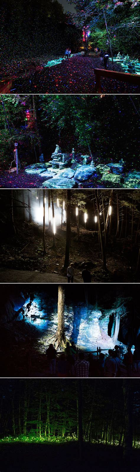 Foresta Lumina Is A Real Life Enchanted Forest That Combines Video