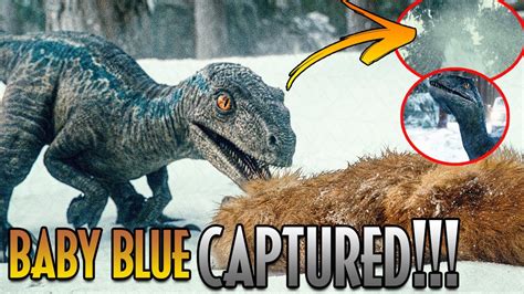 Baby Blue Captured In New Scene For Jurassic World Dominion Youtube