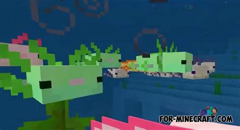 Axolotl Addon V12 For Minecraft Pe 116