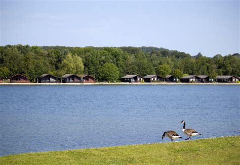 Pine Lake By Diamond Resorts Carnforth United Kingdom Season Deals From