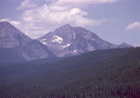 North Central Rockies Forests