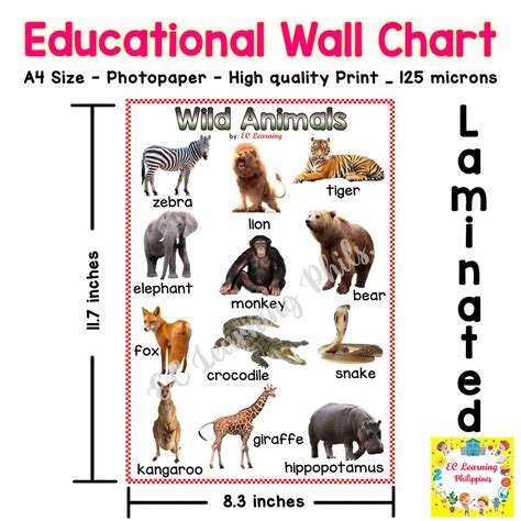 All Wild Animals Chart
