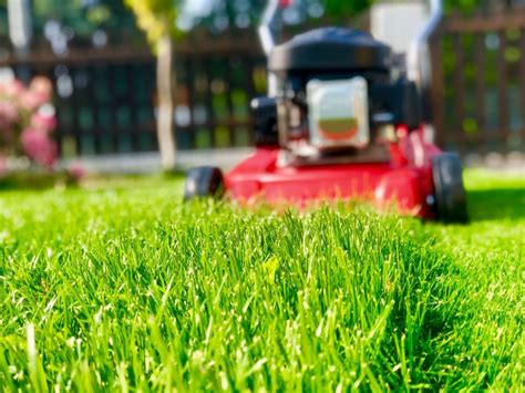 11 Tips For Mowing Your Lawn In Summer Myhometurf