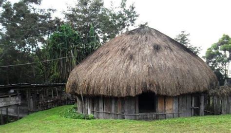 Maybe you would like to learn more about one of these? Rumah Adat Papua Barat, Perbedaan Honai dan Ebei