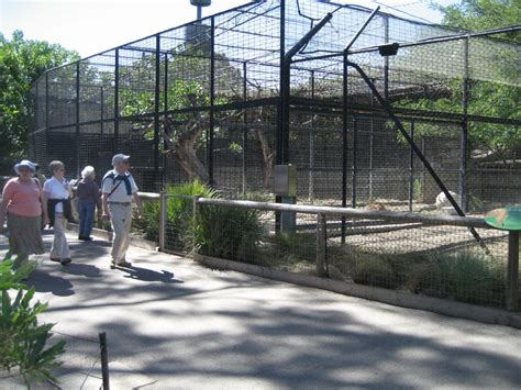 Large Cat Cages Zoochat