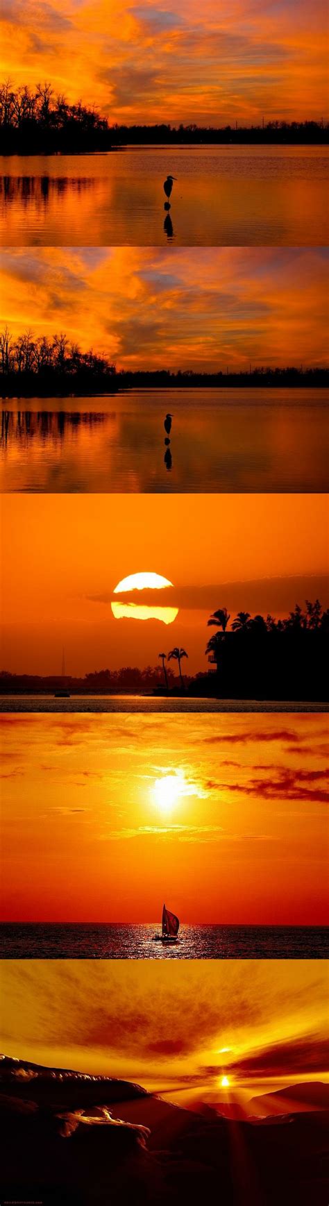 135 Best Orange Sunset Forest Images On Pinterest Sunset Sunsets And