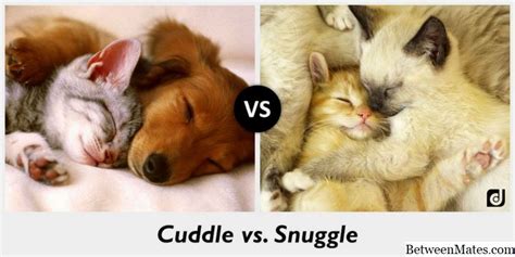 Snuggle Vs Cuddle Cuddle Vs Snuggle Whats The Difference Ask