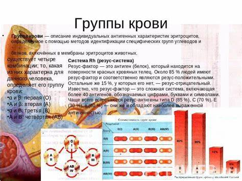 Диета согласно группы крови