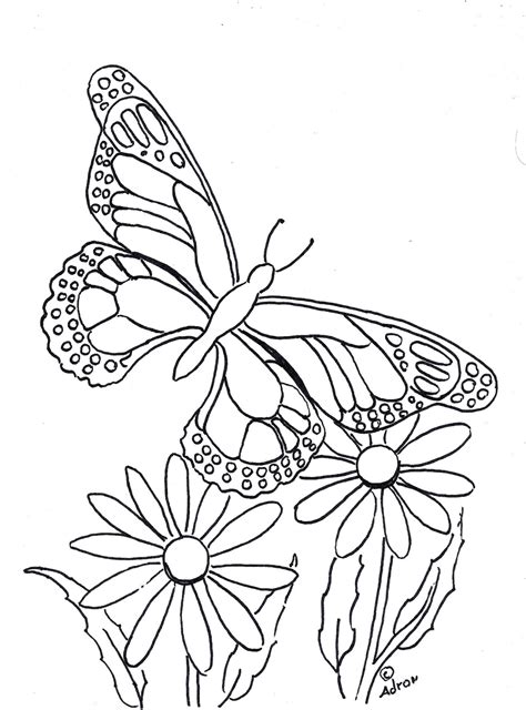 Butterflies On Flower Coloring Pages Coloring Pages