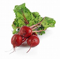 Image result for free image beet 