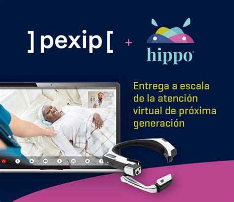 Partnership Tra Hippo Technologies E Pexip Per Fornire Soluzioni Di