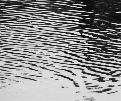 Black And White Water Ripples Free Stock Photo Public Domain Pictures