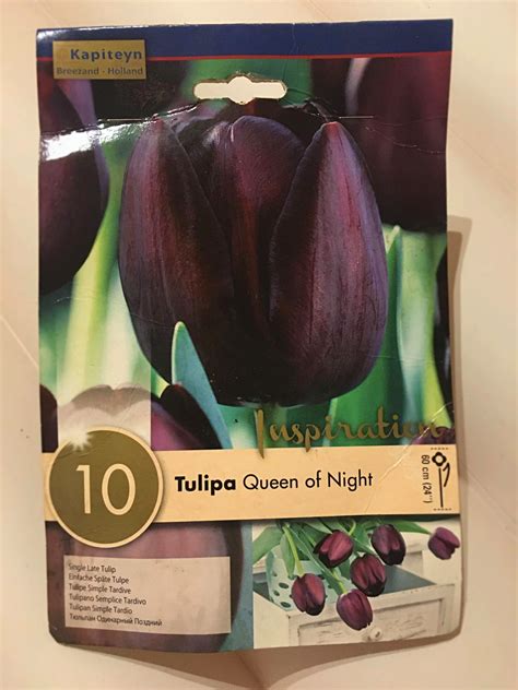 Servite i tagliolini al nero di seppia ben caldi. Tagliolini al nero di seppia, astice e tulipani ...