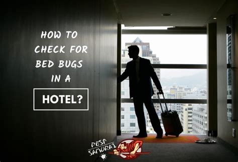 Bed Bugs In Hotels Protecting Yourself From Infestation Pest Samurai
