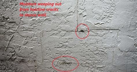 The Signs Of Stucco Water Intrusion Bowman Building Assessment