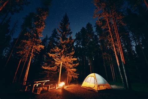 Camping: 5 ways to make it an eco-friendly camping trip