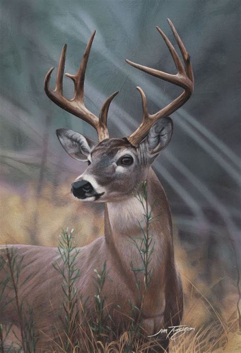 Wild Animal And Bird Paintings By Jim Turgeon Fine Art And You