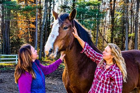 Pair Taps Into That Special Bond Between Horse And Human Midland News