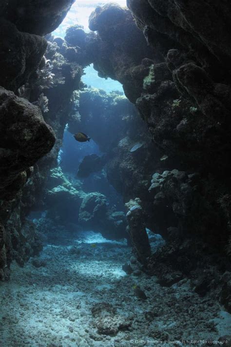 123 Best Images About Cave Diving Immersioni In Grotta