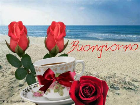 Gif buongiorno a una donna o un uomo. UN FIORE PER MARCO♥♥♥: - Per Amore di Mio Figlio : Il Mio ...