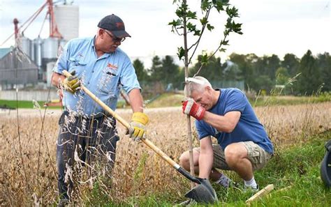 Lions Mark 100 Years With Tree Planting Blitz