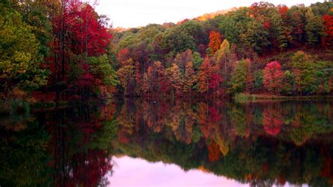Red Yellow Green Leaves Trees Forest Reflection On River Hd Fall