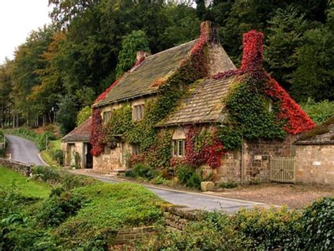 English Cottage In The Forest Old Country Houses Cottage Stone Cottages