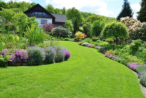 Finding The Right Lawn Care Services Lawn Care Services