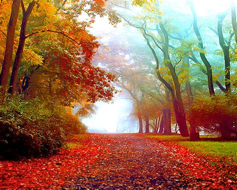 20 Amazing And Colorful Autumn Photos