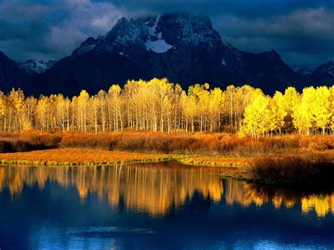 Step into peaceful woods, towering mountains, and deserts, all from your desktop! 3d Nature Wallpaper |Free Images Fun