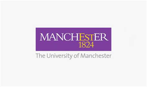 The University Of Manchester Stroke Hub Wales