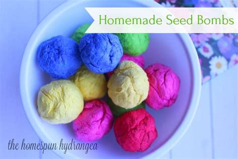 Here is how to make your own homemade flower seed bombs in just minutes. How to Make Homemade Flower Seed Bombs for Your Garden