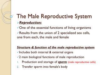 PPT The Male Reproductive System PowerPoint Presentation Free Download ID