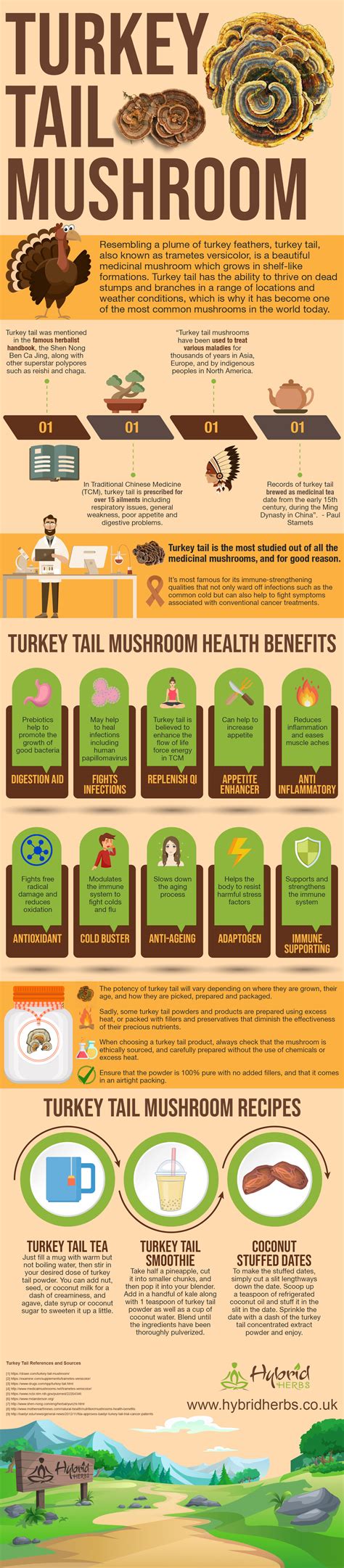 turkey tail mushroom health benefits