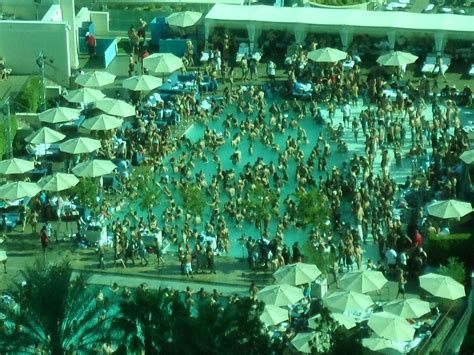 Great Idea If You Like A Crowded Swimming Pool This Is Pool At Mgm