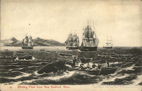 Whaling Fleet From New Bedford Massachusetts Postcard
