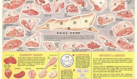 'Veal Cuts Chart' Prints | AllPosters.com