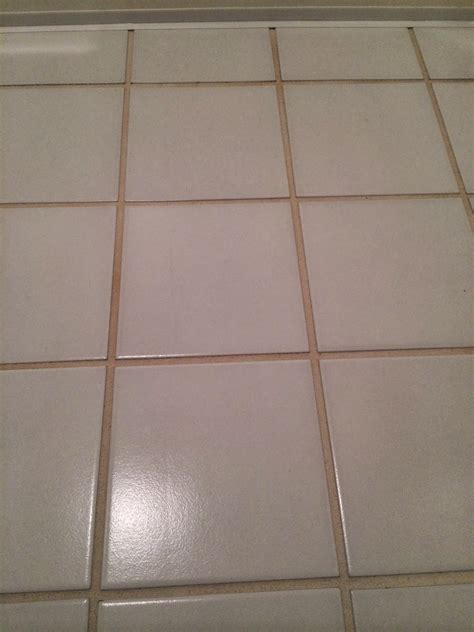 I think it seals the grout better than it was sealed as fresh new grout. cheriesparetime: New Grout