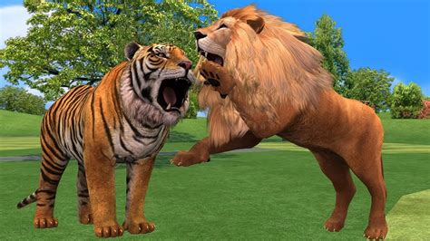 Lion Vs Tiger Fighting Lion Attack With Tiger Animal English