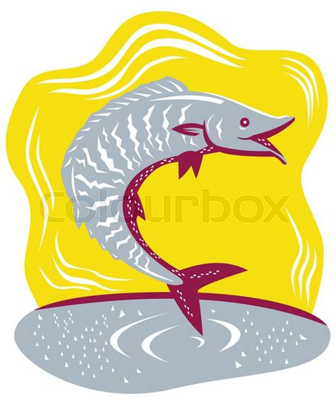 Download Illustration of a wahoo fish jumping ... | Stock vector | Colourbox